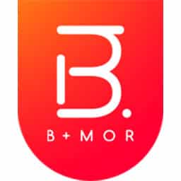 bmor-icon-logo-oldvape